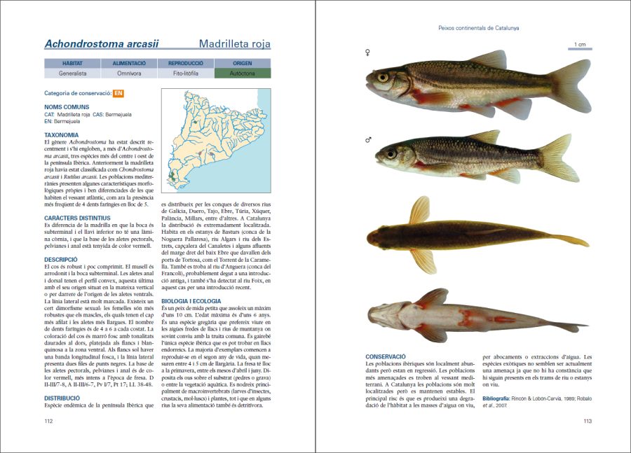 Peixos continentals de Catalunya sample page